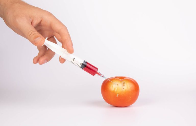 seringue injecte des pesticides dans une pomme