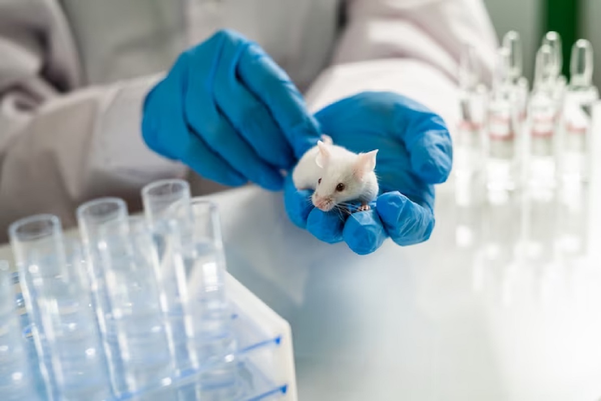 Utilisation Des Animaux Dans La Recherche Et L thique utilisation-des-animaux-dans-la-recherche-et-l-thique