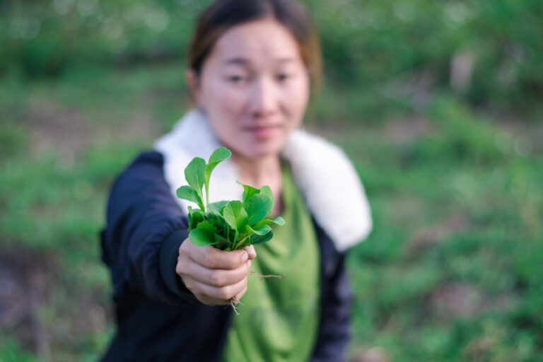 metier environnement