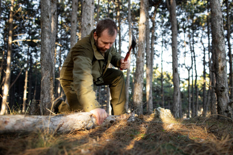 agent forestier